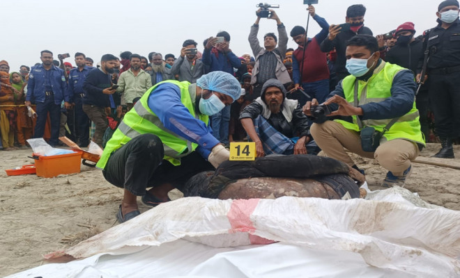 মুক্তাগাছায় মাটি খঁড়ে পাওয়া গেলে নিখোঁজ শিশুর লাশ