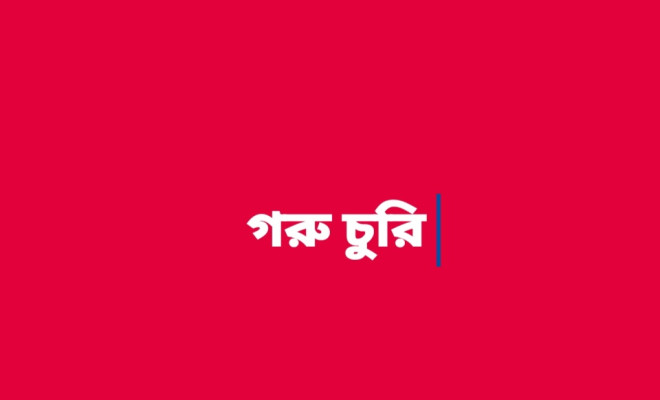 কেন্দুয়ায় এক রাতে দুই কৃষকের ১০ গরু চুরি
